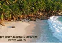 3 MOST BEAUTIFUL BEACHES IN THE WORLD BEST WORLD BEACHES