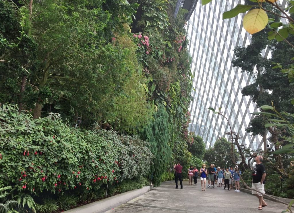 Gardens by the Bay