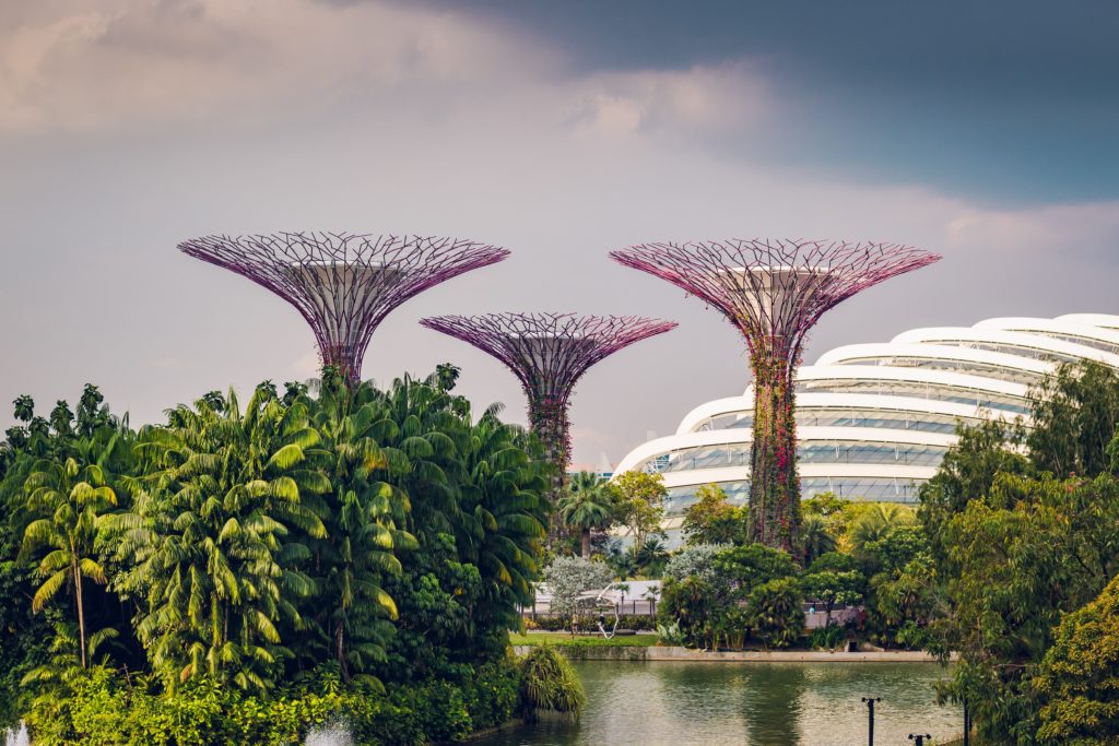 Gardens by the Bay