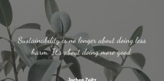 Sustainable Travel Trends Sustainable Travel