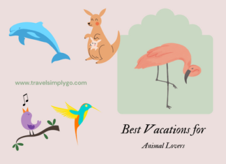 Best Holidays Around the World for Animal Lovers Animal-lover