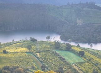 Ooty Tourist Places List with Images OOTY