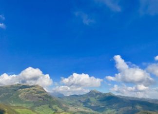 What Munnar is Famous for ? What Munnar is Famous for