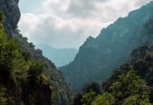 Tips For How To Plan A Road Trip Road Trip