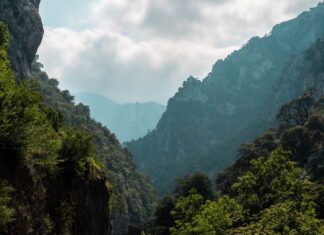 Tips For How To Plan A Road Trip Road Trip