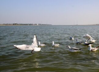 Best Tourist Places in Prayagraj Best Tourist Places in Prayagraj