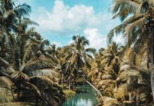 Save Our Planet : Moving Towards Sustainability Sustainable Travel