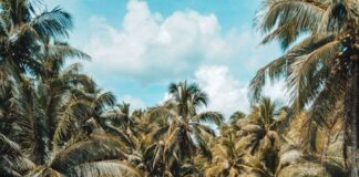 Save Our Planet : Moving Towards Sustainability Sustainable Travel