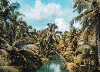 Save Our Planet : Moving Towards Sustainability Sustainable Travel