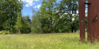 Is Two Days Enough To Explore Geneva’s Top Attractions? Picture From My Album