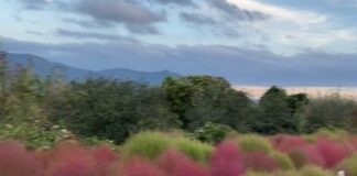 An Epic Day Trip To Mount Fuji Mount Fuji