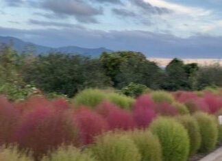 An Epic Day Trip To Mount Fuji Mount Fuji