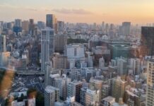 Japan Skyline