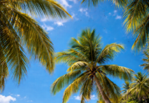 Underrated Travel Destinations in Asia That Feel So Rewarding Offbeat Places in Asia