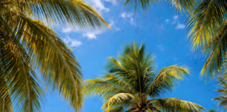 Underrated Travel Destinations in Asia That Feel So Rewarding Offbeat Places in Asia