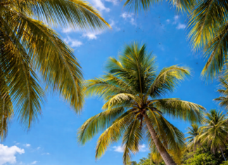 Underrated Travel Destinations in Asia That Feel So Rewarding Offbeat Places in Asia