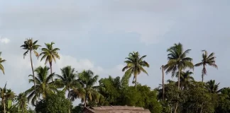 Luxury Travel Redefined — Finding Tranquility at Water’s Edge in Kerala Kollam, Kerala